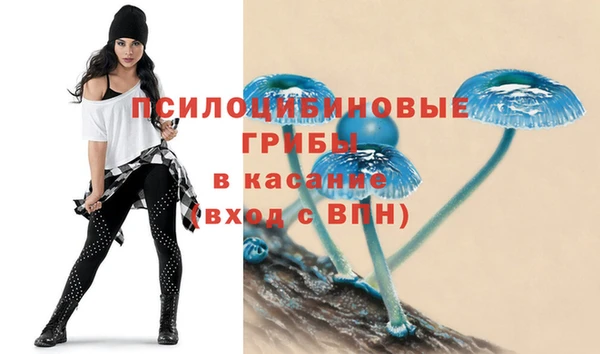 герыч Гусь-Хрустальный