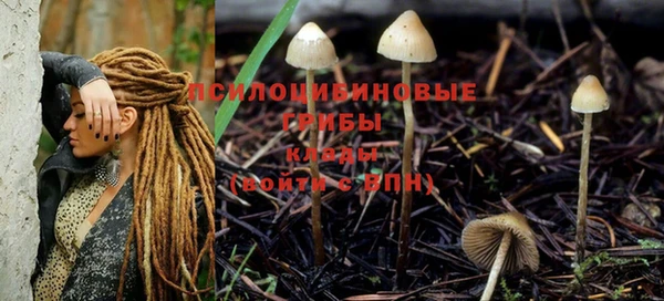 герыч Гусь-Хрустальный