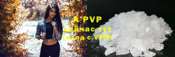 ГАЛЛЮЦИНОГЕННЫЕ ГРИБЫ Гусиноозёрск