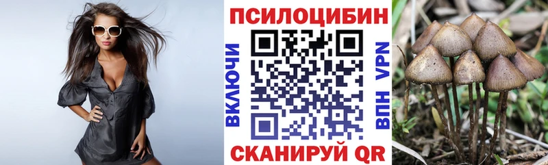 Псилоцибиновые грибы GOLDEN TEACHER  Купить  Ухта 